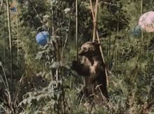 Cute Bear Paws GIF - Cute Bear Paws Russian Film GIFs