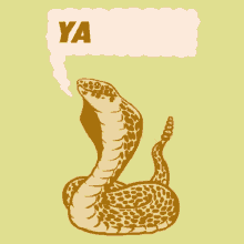 Snake Yas GIF - Snake Yas GIFs