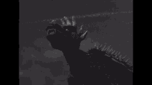anguirus godzilla godzilla raids again anguirus1955
