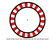 Stare At The Black Dot Which Way Do The Red Stripes Spin? GIF - Optical Illusion Illusion Eye Trick GIFs
