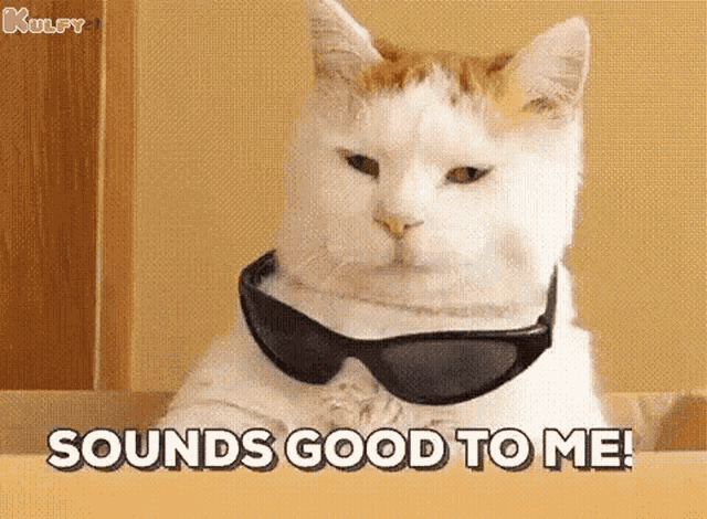 Keep Moving Every Single Day Cat GIF - Keep Moving Every Single Day Cat Gif GIFs