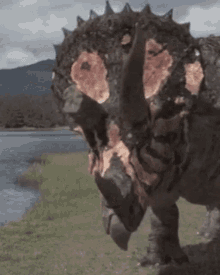 Dinosaurs In The Wild Triceratops GIF - Dinosaurs In The Wild Triceratops Dinosaur GIFs