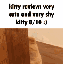 Kitty Review Caption GIF - Kitty Review Kitty Caption GIFs