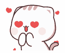 love cutie cat chan in admire hearts adore
