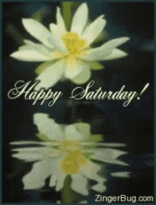 Happy Saturday Flower GIF - Happy Saturday Flower GIFs