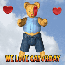 We Love Caturday Kitten In Pants GIF - We Love Caturday Kitten In Pants Saturday GIFs