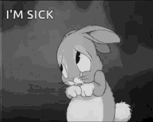 sorry sad crying tears bunny