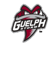 Guelph Storm Sticker - Guelph Storm Stickers