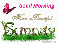 Good Morning Have A Beautiful Sunday Greetings GIF - Good Morning Have A Beautiful Sunday Greetings Sunday GIFs