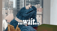 Cookie Monster Wait GIF - Wait GIFs