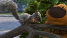 Dugdays Squirrel GIF - Dugdays Dug Squirrel GIFs