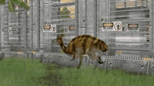dinosaur running