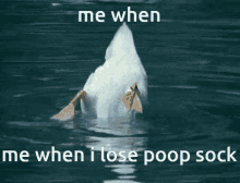 Duck Poop GIF - Duck Poop Swim GIFs