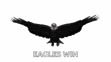 eagle soar wing spread