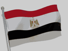 Egypt Flag GIF - Egypt Flag Flag Waver GIFs