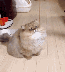 Cat Catching String Cute GIF - Cat Catching String Cute Fluffy GIFs