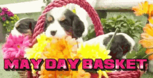 May Day Basket Flowers GIF - May Day Basket Basket Flowers GIFs