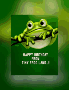 frog crazy birthday happy dutch