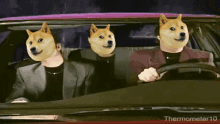 doge dogecoin dedcel what is love baby dont hurt me doge dogecoin dedcel what is love baby dont hurt me