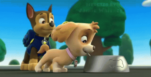 Utålelig krølle venlige Paw Patrol Chase GIF - Paw Patrol Chase And - Discover & Share GIFs