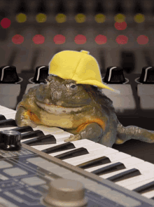 Toad Frog GIF - Toad Frog Music GIFs