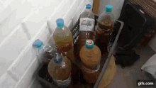 Vjlink_collection Drinks GIF - Vjlink_collection Drinks Sale GIFs