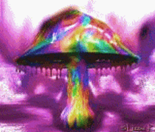 Mushrooms Trippy GIF - Mushrooms Trippy Psychedelic GIFs