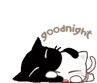 Sleeping Good Night Sticker - Sleeping Good Night Black Cat Stickers