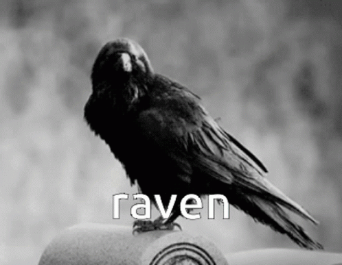 Raven GIF - Raven GIFs