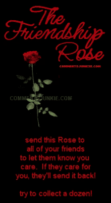 Friendship Rose GIF - Friendship Rose GIFs