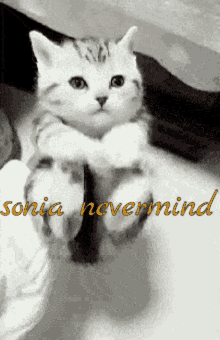 Sonia Nevermind GIF - Sonia Nevermind Sonia Nevermind GIFs