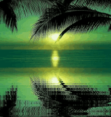 Paradise GIF - Paradise GIFs