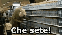 Cammello Sete Assetato Supermercato Acqua GIF - Camel Thirst Thirsty GIFs