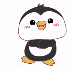 cute penguin dancing macarena funny