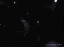 System Of A Down Daron Malakian GIF - System Of A Down Daron Malakian Concert GIFs