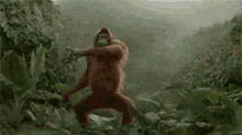 dance gorilla cute