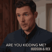 Are You Kidding Me Charlie Hudson GIF - Are You Kidding Me Charlie Hudson Hudson And Rex GIFs