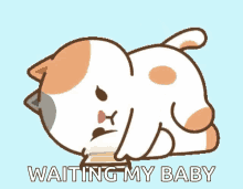 Waiting For You Cat GIF - Waiting For You Cat Cute GIFs