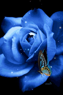 Rose Blue GIF - Rose Blue Sparkle GIFs
