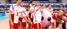 Siatkarski Gif Siatkowka GIF - Siatkarski Gif Siatkowka Volley GIFs