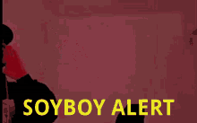 alarm soyboy alert