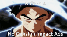 Rule Rules GIF - Rule Rules Goku GIFs
