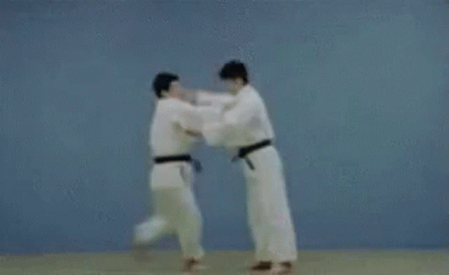 judo-throw.gif
