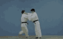 Judo Throw GIF - Judo Throw International GIFs