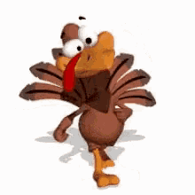 turkey todd turkey todd