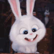 Snowball Rocksideroad GIF - Snowball Rocksideroad Clapping GIFs