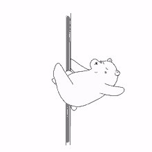 pole dance polar bear polar poler hi there