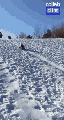 Sledding Snow Day GIF - Sledding Snow Day Playing In The Snow GIFs