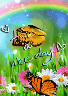 Good Morning Have A Nice Day GIF - Good Morning Have A Nice Day Butterfly GIFs