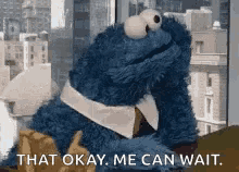 Waiting Cookie Monster GIF - Waiting Cookie Monster Wait GIFs